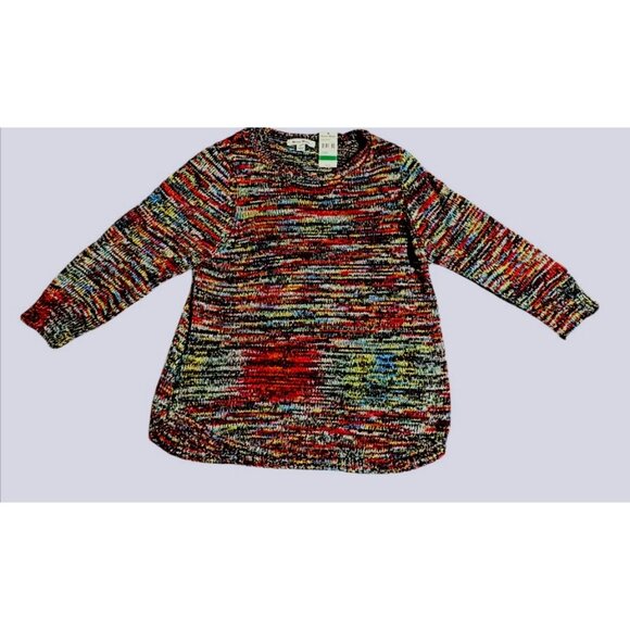 NWT Studio Works Multicolored Striped Knit Sweater Women's Size L - Picture 4 of 5